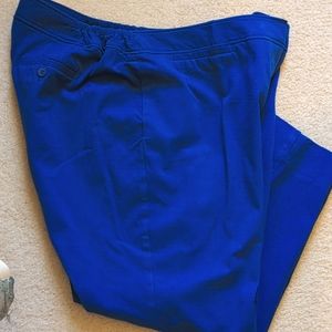 Talbots women's Hampshire pants 18WP